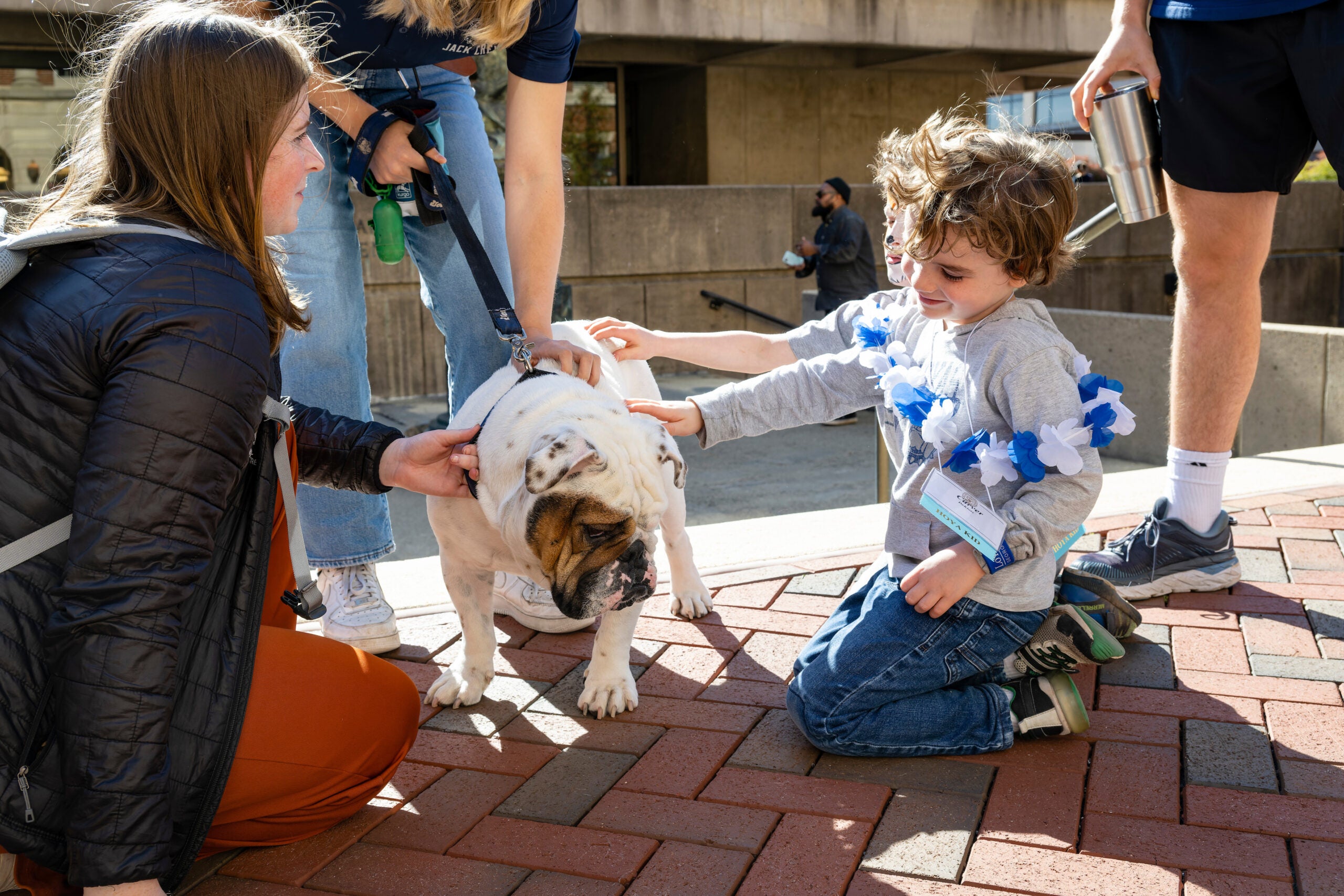 Reunion attendees play with Jack the Bulldog